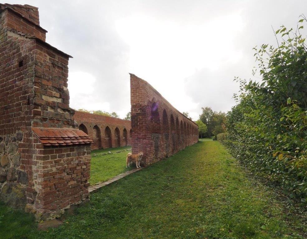 Klosterblick Bad Doberan Exterior foto